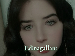 edinagallant Top Blog X