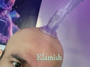 elamish Top Blog X