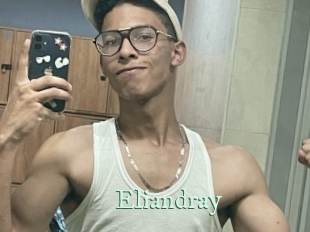 eliandray Top Blog X