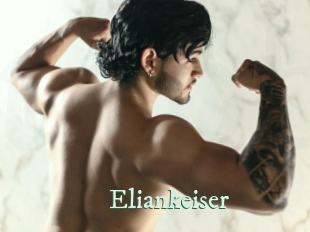 eliankeiser Top Blog X