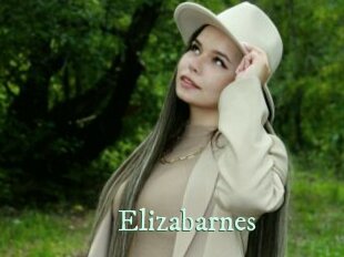 Elizabarnes