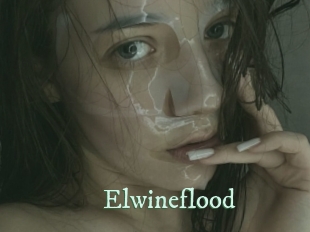elwineflood Top Blog X