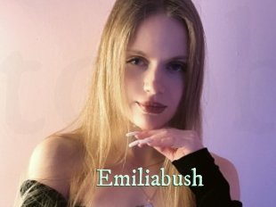 Emiliabush