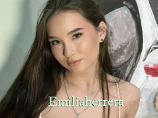 emiliaherrera Top Blog X