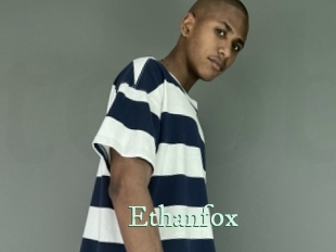 ethanfox Top Blog X