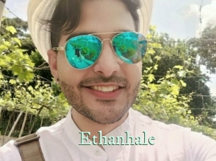 ethanhale Top Blog X