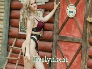 evelynkeat Top Blog X
