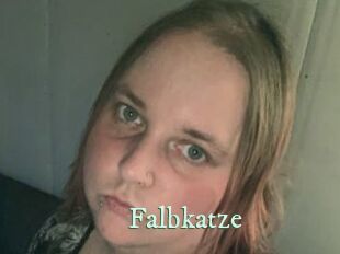 Falbkatze