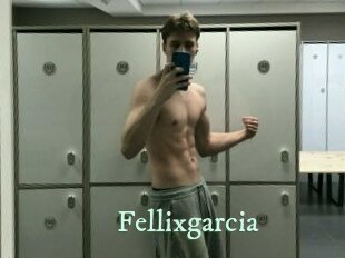 Fellixgarcia