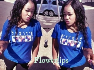 flowerlips Top Blog X