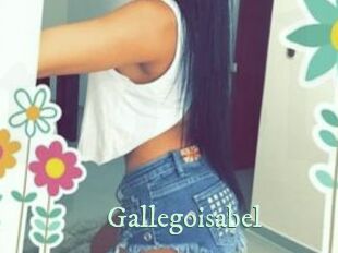 Gallegoisabel