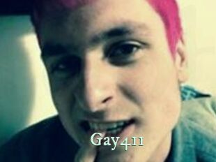 Gay411