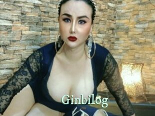 Ginbilog