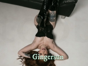 gingersun Top Blog X