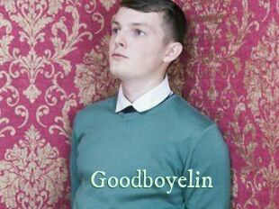 Goodboyelin