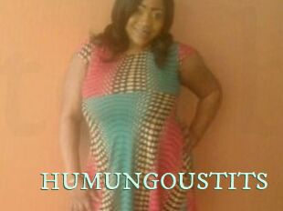 HUMUNGOUSTITS