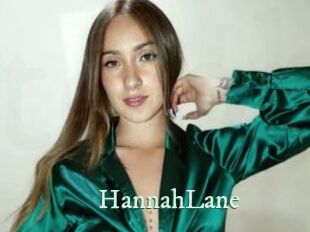 HannahLane Top Blog X