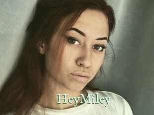 HeyMiley Top Blog X