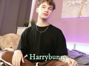 Harrybunny
