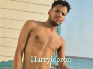 Harrylebron