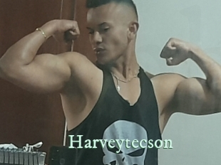 Harveytecson