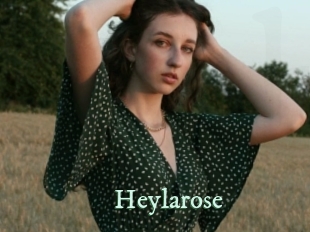heylarose Top Blog X
