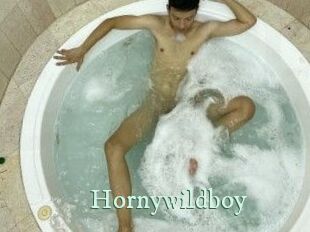 Hornywildboy