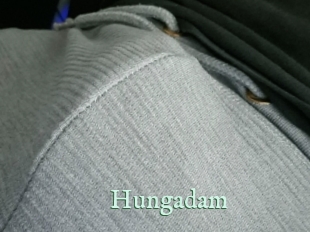 hungadam Top Blog X