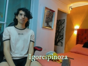 igorespinoza Top Blog X
