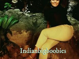 Indianbigboobies