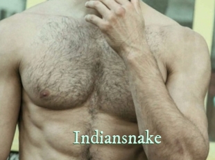 Indiansnake