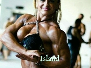 island Top Blog X