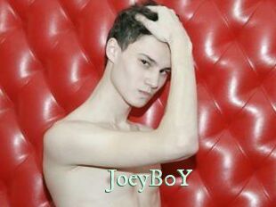 JoeyB0Y
