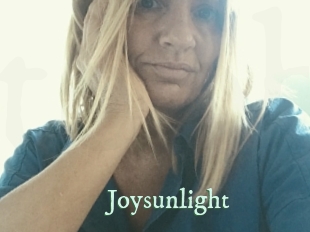 joysunlight Top Blog X