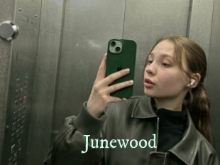 junewood Top Blog X