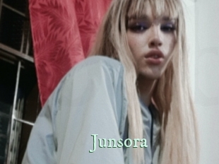 junsora Top Blog X