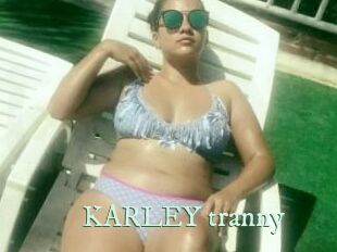 KARLEY_tranny