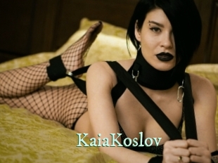 KaiaKoslov Top Blog X