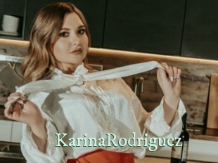 KarinaRodriguez Top Blog X