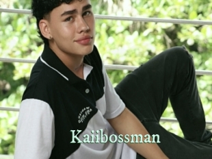 kaiibossman Top Blog X