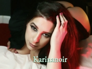 karinanoir Top Blog X