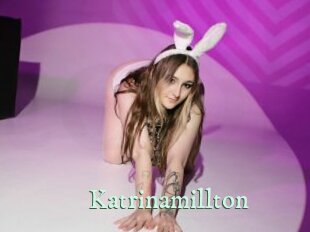 Katrinamillton