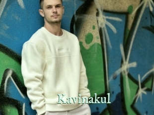 kavinakul Top Blog X
