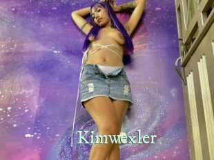 kimwexler Top Blog X