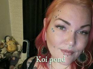 Koi_pond