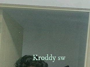 kroddy_sw Top Blog X