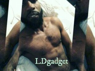 LDgadget
