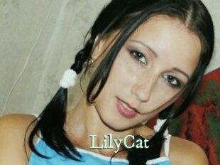 Lily_Cat_