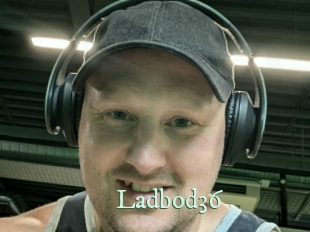 ladbod36 Top Blog X