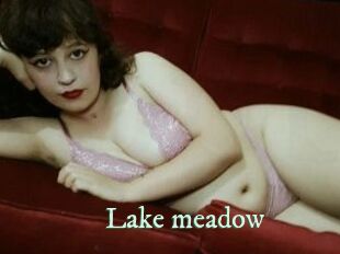 Lake_meadow